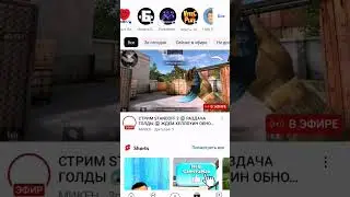 18 октября 2023 г.