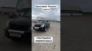 Краснодар Тошкент такси, Краснодар Ташкент такси, Ростов-на-Дону Ташкент такси, 