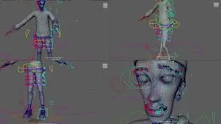 Human Biped Character Rig