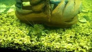 A time-lapse video. Cancer is digging the hole. Life cancer.