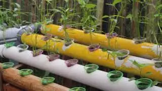 Easy Garden Ideas That You Can Apply at Home