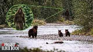 Cryptids Truly Exist Whether We Like It Or Not - THE BIGFOOT EXPERIENCE | Full Documentary