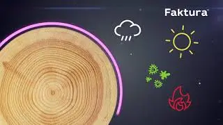 Состав тонирующий Faktura