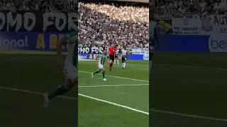 ALAN RUSCHEL ⚽️