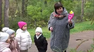 Мандрівка екологічною стежиною