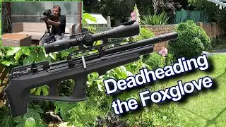 FX WildCat MK3 - Deadheading the Foxglove