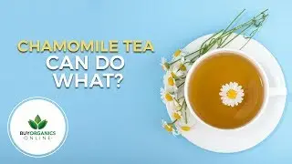 The 10 greatest health benefits of Chamomile Tea