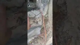 Точка росы