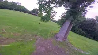 Little flight from 2023