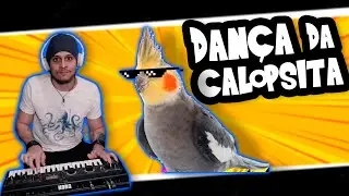 Cockatiel Rave: Two Birds Dancing and Singing to an Electro Beat! (Dança da Calopsita)