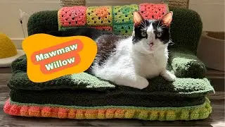 My 90 Year Old Cat.. Mamaw Willow