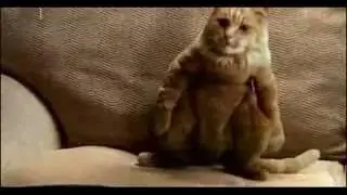 8e7c43e03c14 65566158 vk