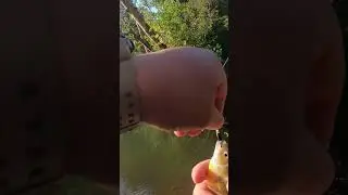 Ultralight fishing with worms