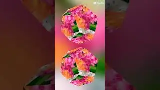Скоро осень,господа...#выставка #конево #нижегородскаяобласть #дарыприроды #music #отдых #shorts