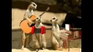 ХОРОШЕГО НАСТРОЕНИЯ !