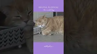 📝☕ Digital Planning For a Chill Day & Leaving My Home #digitalplanner #homebodyvlog #cafe