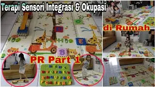 Terapi Sensori Integrasi & Okupasi di Rumah Syifa | Disleksia Terapi Part 1 | Sukses dalam 2 Bulan