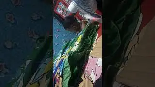 bayi keren