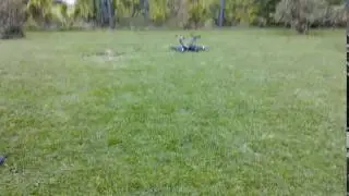 Неоткалиброванный квадрик - краш