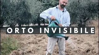 “Il grande errore che rovina l’orto invernale (e come evitarlo)”