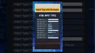 🛑Input Tag In Html With Example🤓 - 