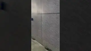 Кунцевская потекла