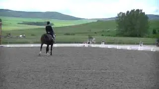 Rowan FEI Intermediare I Freestyle CDI2* July 1, 2012