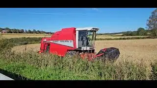 (MFØ) 🚜🌾Tresking på Homstvedtsletta med Massey Ferguson 2065 Skurtresker🌾🚜