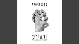 Promesses (Calyx & TeeBee Remix)