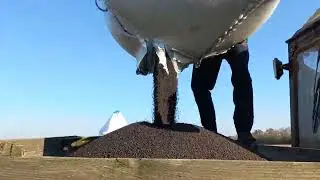вносим удобрения под сев, немного про цены, себестоимость, охотников, субсидии, сроки сева