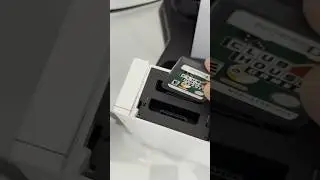 DS Games on the Wii?! 