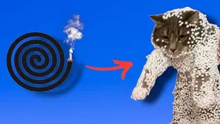 FLEAS AND WORMS REMEDY for cats and dogs IN ONE MINUTE
