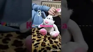 TOYS CATS: СБОРНИК ПРИКОЛЬНЫХ И РЖАЧНЫХ ВИДЕО(2021-2022)