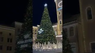 Елка Роза Хутор  
