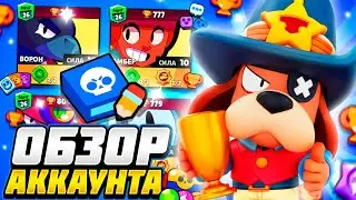 ОБЗОР МОЕГО АККАУНТА В BRAWL STARS  D@mirka | YT 😍😍😍