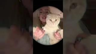 Я считаю, это лучшее😂 