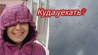 Семья из Мариуполя. Хочу уехать 🍁#мариупольсегодня.