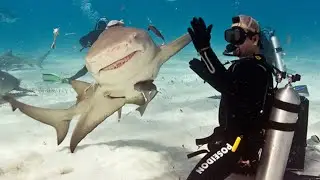 COOL PHOTOS TAKEN AT THE RIGHT MOMENT