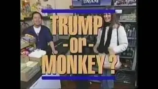 Letterman Classics: Trump or Monkey