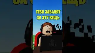 🧐ТЕБЯ ЗАБАНЯТ ЗА ЭТУ ВЕЩЬ В РОБЛОКС