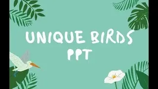 Unique Birds 🐦🦜🕊️ PowerPoint Presentation | PPT By 5th class student | Must Watch | Facts of Birds