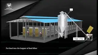 Automatic layer equipment for 15,000 layer chickens