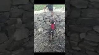 Boy in Yemen rescues a fox amazing