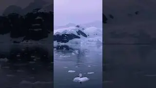 4G Services in Antarctica 🚫❌ : Tech Facts #techbengalishorts #trending