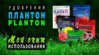 Planton Fertilizer My Experience of Use