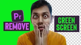 How to Remove Green Screen in Premiere Pro for Beginner