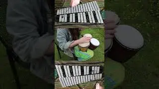 Randy Rhoads played the Glockenspiel? #shredding #guitarsolo #ozzyosbourne