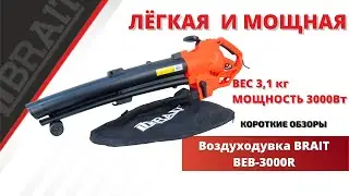 Воздуходувка электрическая BEB-3000R