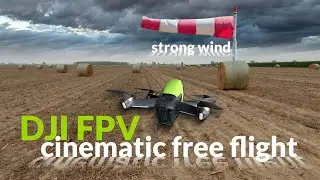 DJI FPV Cinematic free flight! STRONG WIND!
