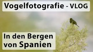 VLOG Vogelfotografie - In den Bergen Spaniens (inkl. Bildbearbeitung)